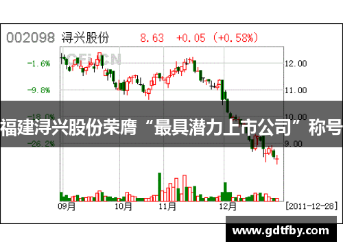 福建浔兴股份荣膺“最具潜力上市公司”称号